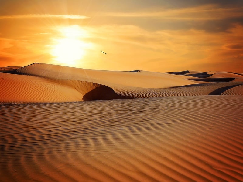 The Wastelands